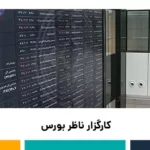 کارگزار ناظر بورس