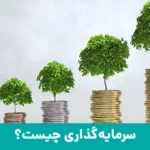 سرمایه‌گذاری چیست؟